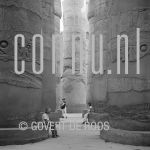 20-04-2007 Egypte.

[keywords]Black & White Image, Pillars[/keywords]